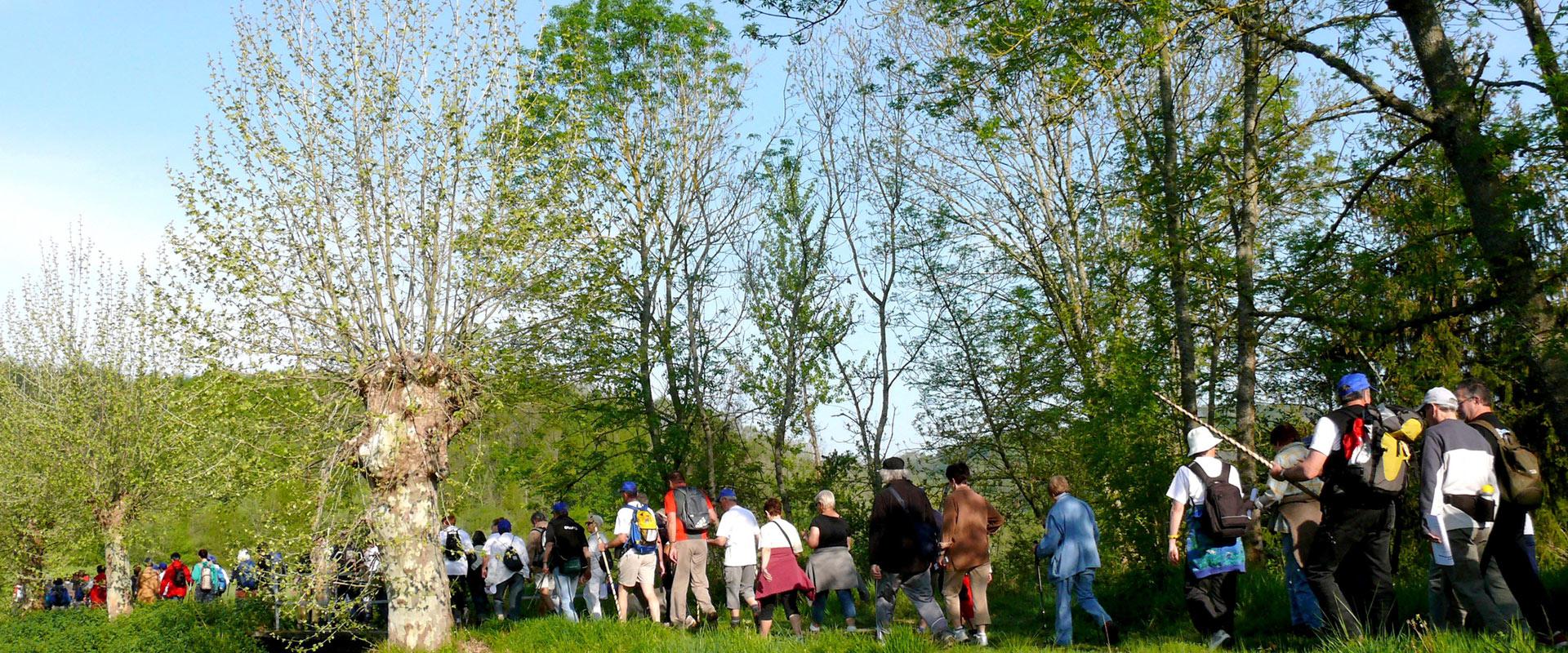 Les pèrlerins sur les chemins de St Jacques de Compostelle