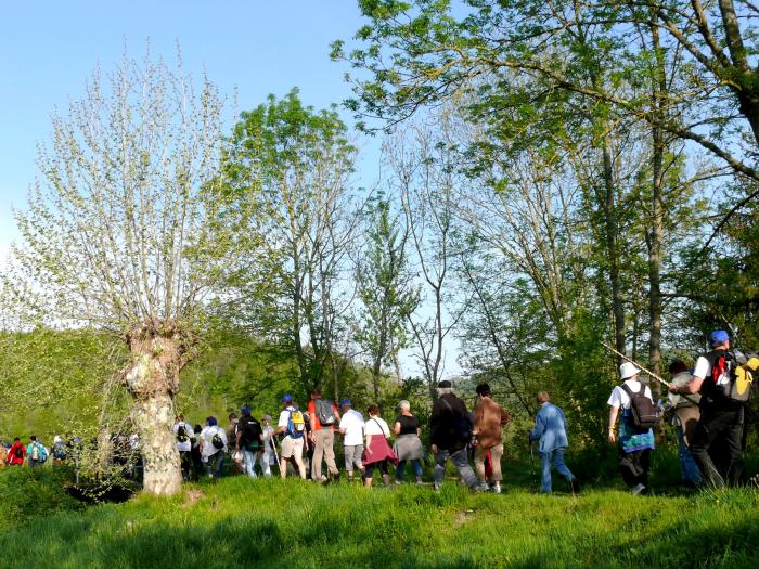 Randonnée pour tous Larreule